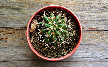 mrc.hk personal leadership entreprenuer coaching purpose